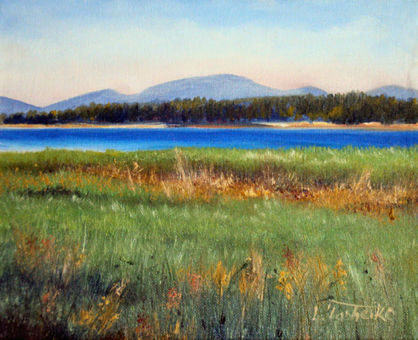 Mt Desert Marsh by L. Tasheiko, Maine Artist